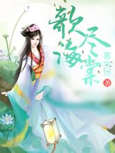 2024年澳门天天有好彩白菊花价格